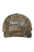 embroidered camo hat
